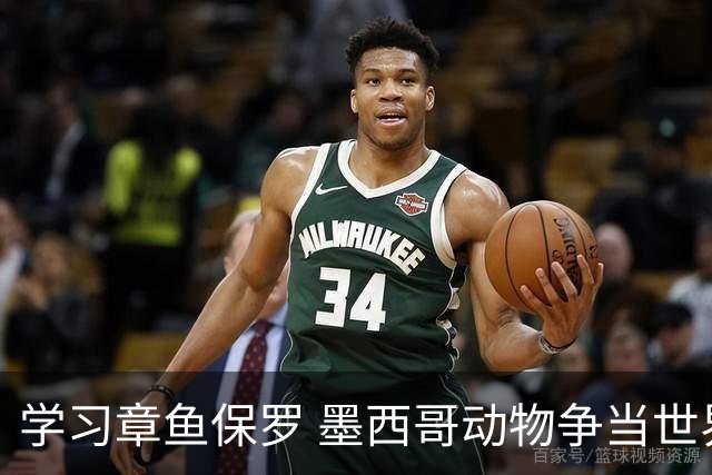 学习章鱼保罗 墨西哥动物争当世界杯预言家